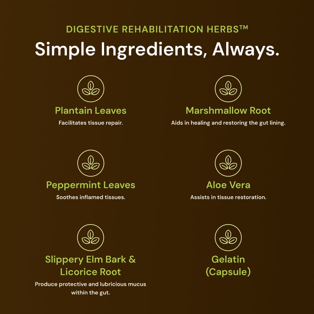 Nature’s Rite Digestive Rehabilitation Herbs with Digestive Enzymes, All-Natural Herbal Digestive Support, Fast-Acting Formula, 60 Capsules