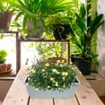thumbnail image 4 of FENGGUIQU 4Sets Rectangular Resin Window Box Planter with Saucers for Indoor Outdoor Vegetable Flower Gardening, 4 of 6