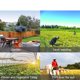 thumbnail image 4 of Herramienta Agrícola Multiusos: Azadón de Jardinería con Mango de Madera, Ideal para Cultivo, Deshierbe y Labranza en Huertos y Jardines., 4 of 5