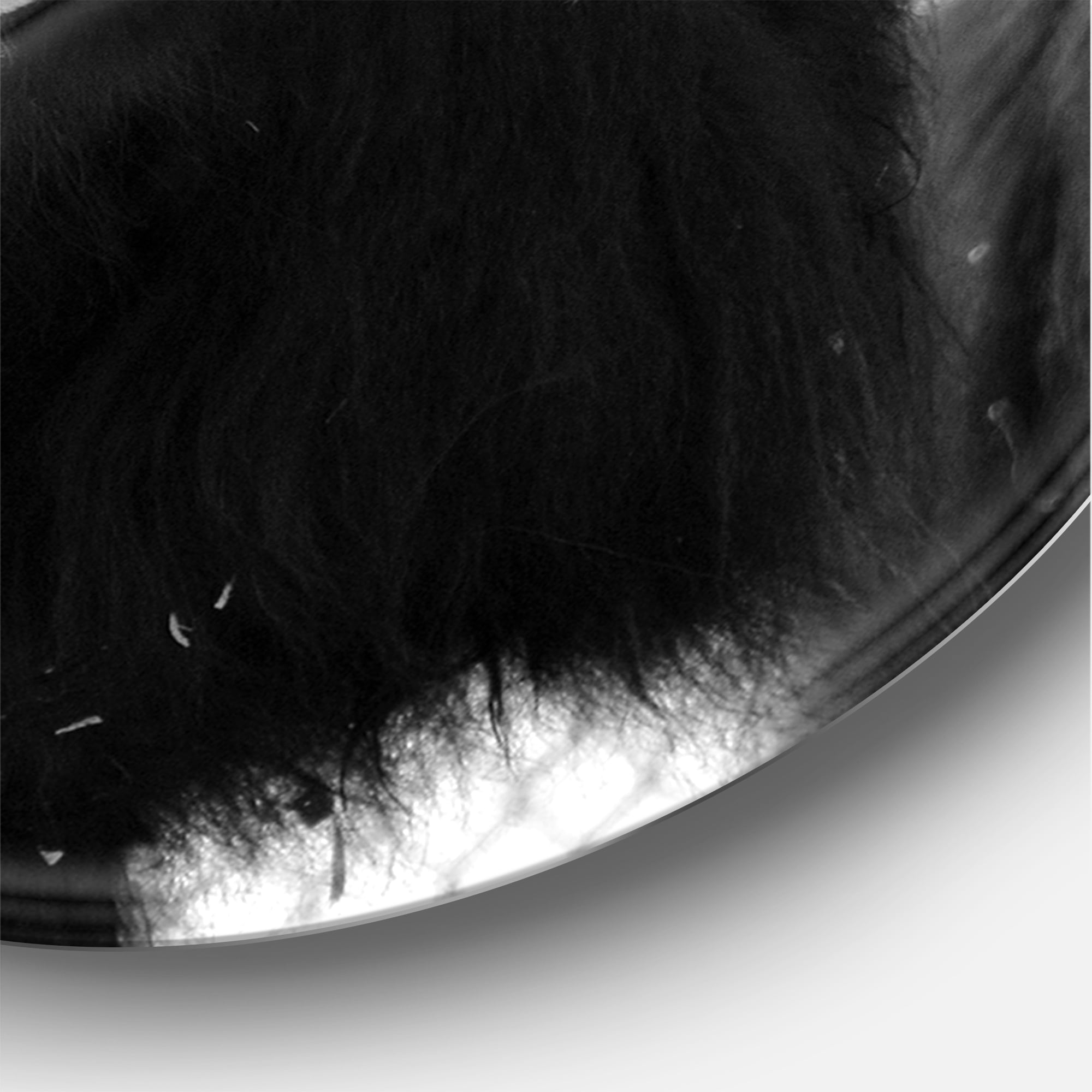 Designart 'Portrait Of Monochrome Wild Bull In Winter Forest II' Farmhouse Circle Metal Wall Art 11x11 - Disc of 11