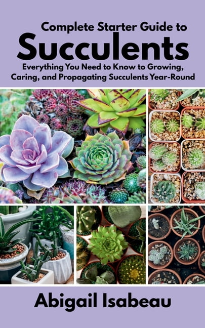 container garden seeds Container Garden Organic Seed Collection main image 0