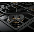 thumbnail image 6 of 48" All Gas Pro-Range, 6 of 9