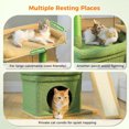 thumbnail image 5 of PEQULTI Small Cat Tree Tower for Indoor Cats Scratcher with Top Perch and Private Cat Condo Green, 5 of 7