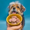 thumbnail image 2 of Visionary Pet Foods: Freeze Dried Chicken Keto Medallions, 3.5 Oz, 2 of 7
