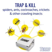 Terro Spider & Insect Traps, 10 Pack