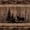 Brown Black, variant on Castle Fairy Jungle Animal Beer Twin Comforter Sets 2pcs,Rustic Cabin Wildlife Bedding Set,Natural Brown Black,Black Reversible,1 Comforter and 1 Pillowcase