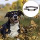 thumbnail image 3 of Collares para perros, bandas de yoga y diademas ajustadas para amantes de las mascotas, 3 of 5