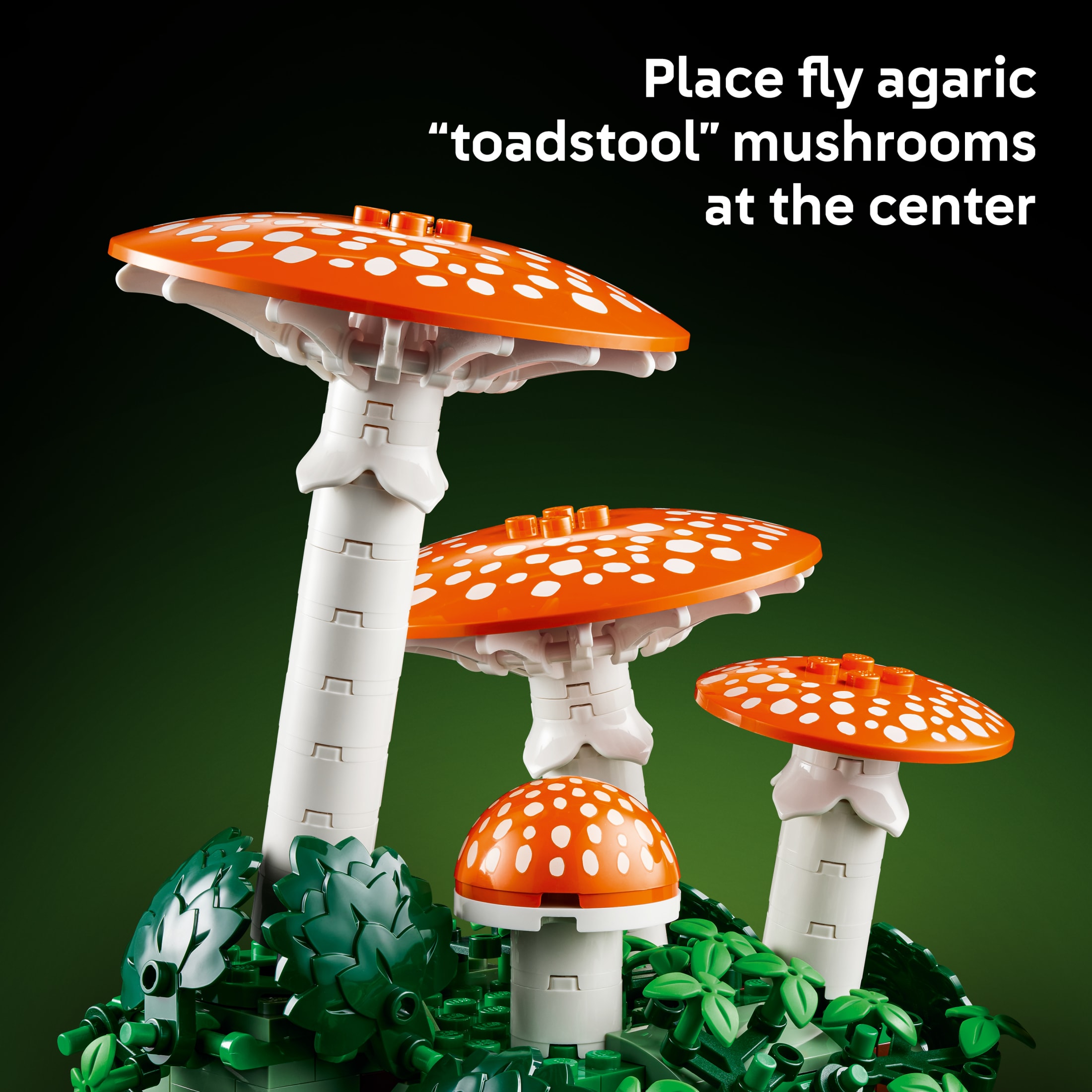 LEGO Botanicals Hongos del Bosque - Set de Construcción para Adultos, Mayores de 18 Años - Decoración de Hongos para el Hogar - Regalos para Mujeres y Hombres - Actividad Creativa - 11505 5