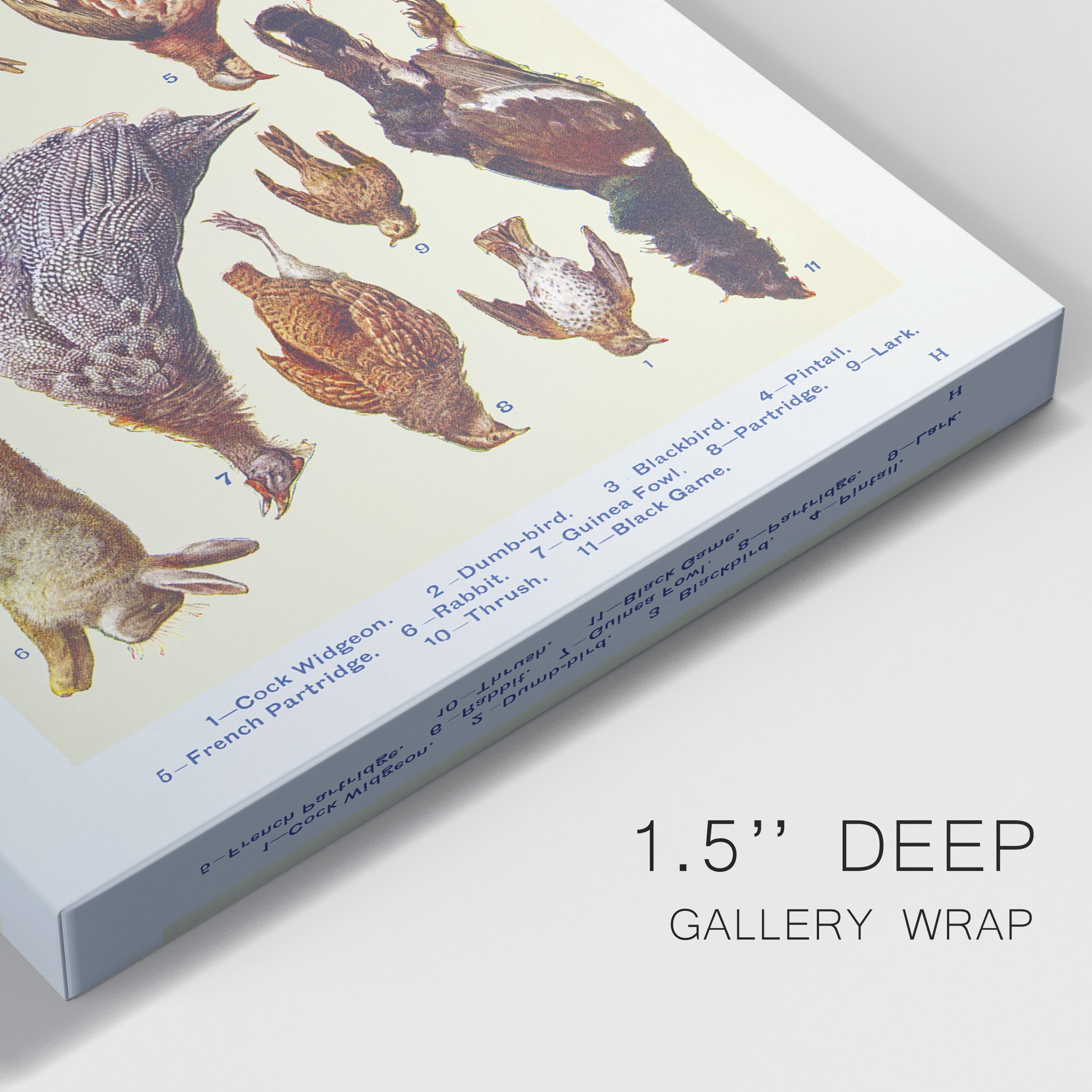 Game II Cock Widgeon, Dumb–bird, Blackbird, Pintail, French Partridge, Rabbit, Guinea Fowl, Partridge, Lark, Thrush, and Black Game Premium Gallery Wrapped Canvas - Ready to Hang - 8 x 12