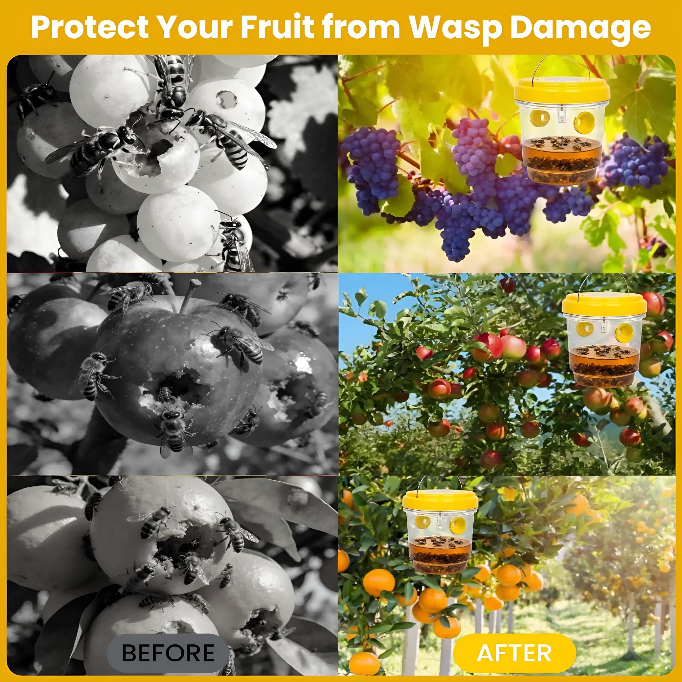 ACDANC Wasp Trap Outdoor Hanging,Reusable Yellow Jacket Trap with Bait Reservoir,Carpenter Bee and Hornet Catcher,Hanging Wasp Catcher for Outdoor Use