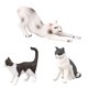 thumbnail image 5 of Gwong Juguete Simulación Mini Cats Kitty Figura Modelo Estatua Inicio Ornamentos Regalo Niños Juguete Gwong 30003787, 5 of 7