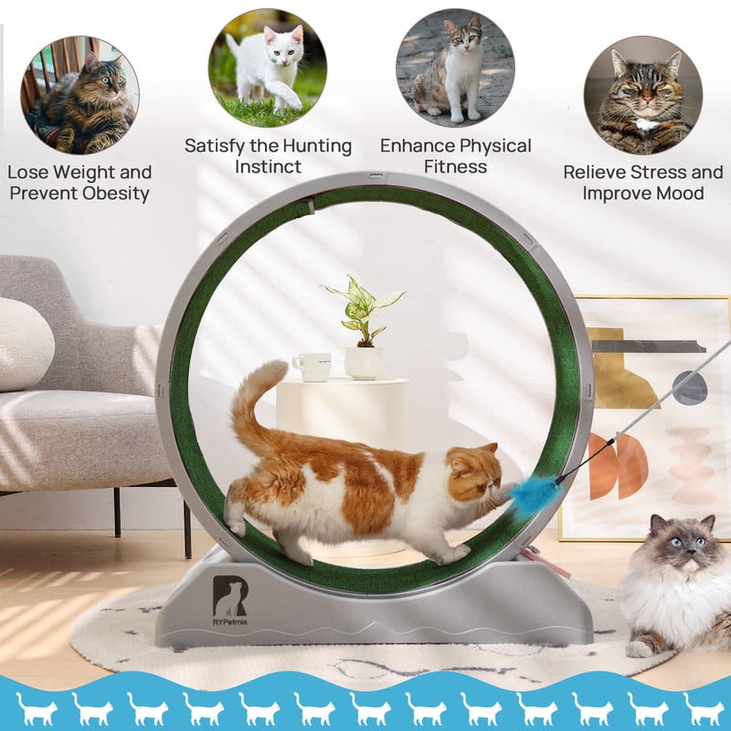 Cat Exerciser Wheel, 31.5 Inch Cat Toy Running Wheel Treadmill with Detachable Carpet for Indoor Cats, Plastic Wheel