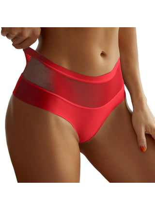 Panties For Womens Low Waist Sheer Mesh Cute Seamless Underwear Women  Briefs 3-Pack 