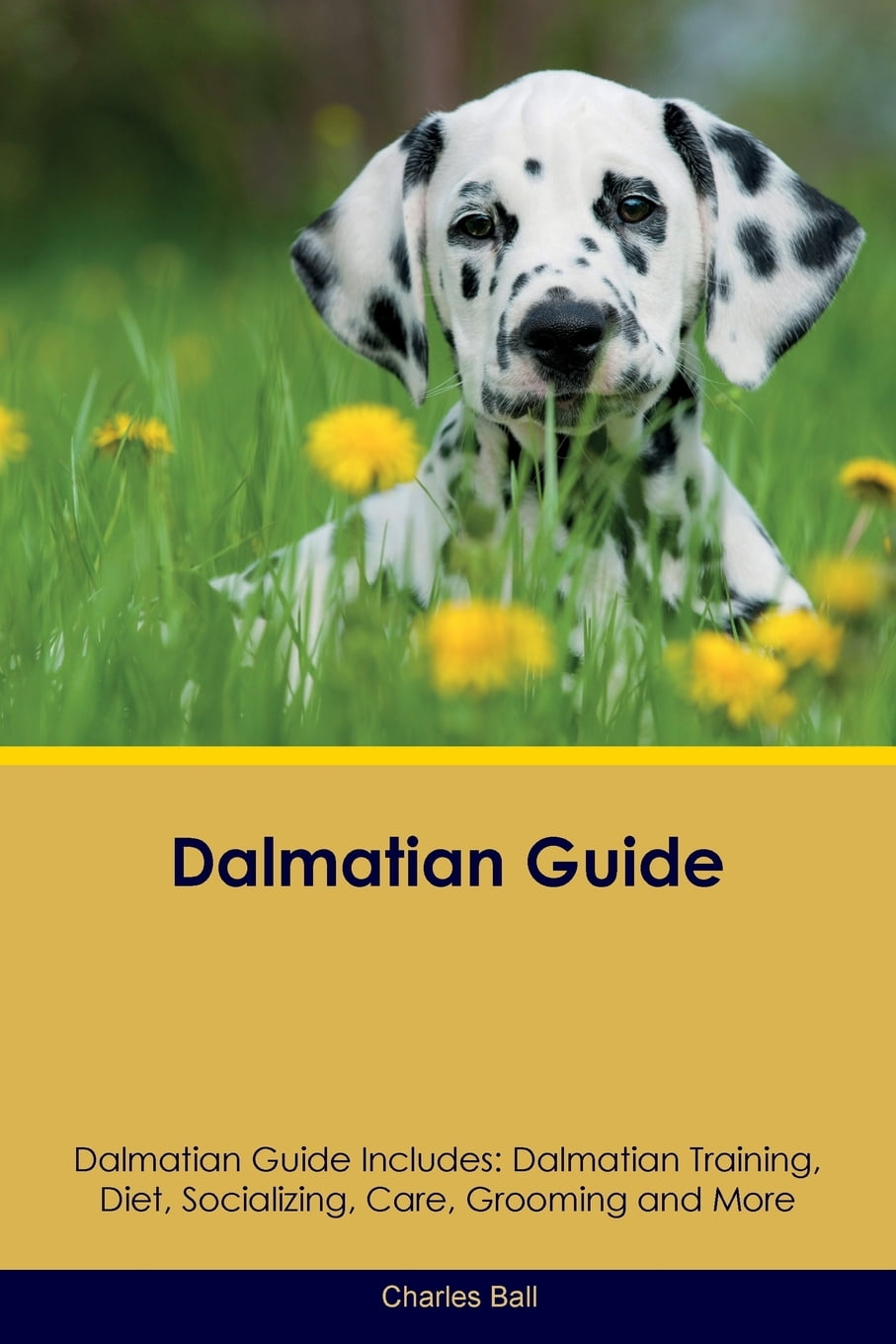Dalmatian Guide Dalmatian Guide Includes Dalmatian Training, Diet