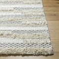 thumbnail image 4 of BoutiqueRugs Faron Bohemian, Transitional Area Rug - Light Gray - 27" x 45", 4 of 9