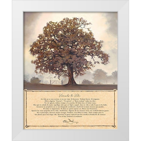 Mohr, Bonnie 20x24 White Modern Wood Framed Museum Art Print Titled - Viviendo la Vida -Living Life Spanish Version