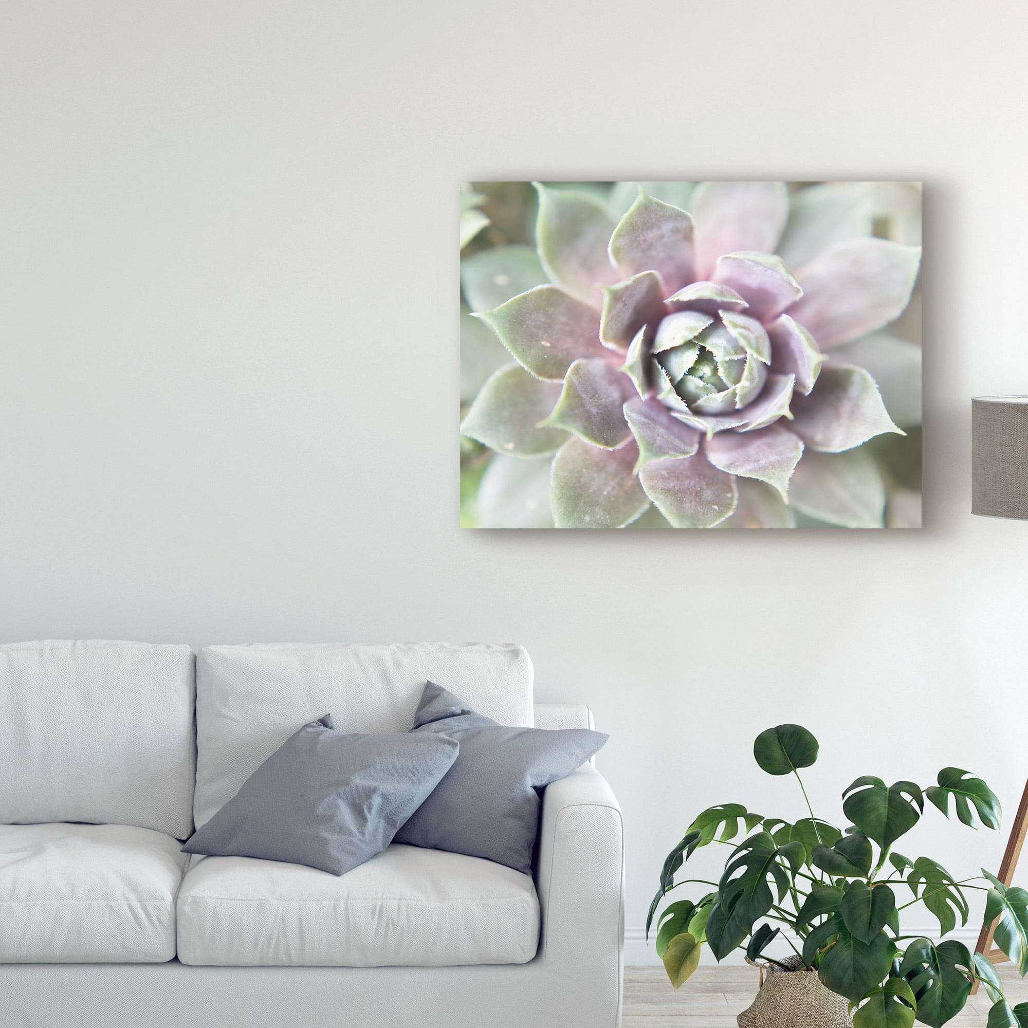 Trademark Fine Art 'Succulent Glow II' Canvas Art by Jason Johnson
