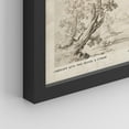 thumbnail image 5 of PixonSign Framed Wall Art Sketch Antique Tree Vintage Landscape Prints, Set of 4 Nature Wilderness Paintings, Minimalism Wall Décor, Adhesive Canvas Poster for Home Decor - 11"x14" Black, 5 of 5
