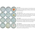 thumbnail image 2 of Golf Ball Planet - 50 Pack Orange Recycled Golf Balls (3A / Good), 2 of 6