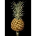 thumbnail image 2 of Brookshaw, George 19x24 White Modern Wood Framed Museum Art Print Titled - Brookshaw Exotic Pineapple II, 2 of 4
