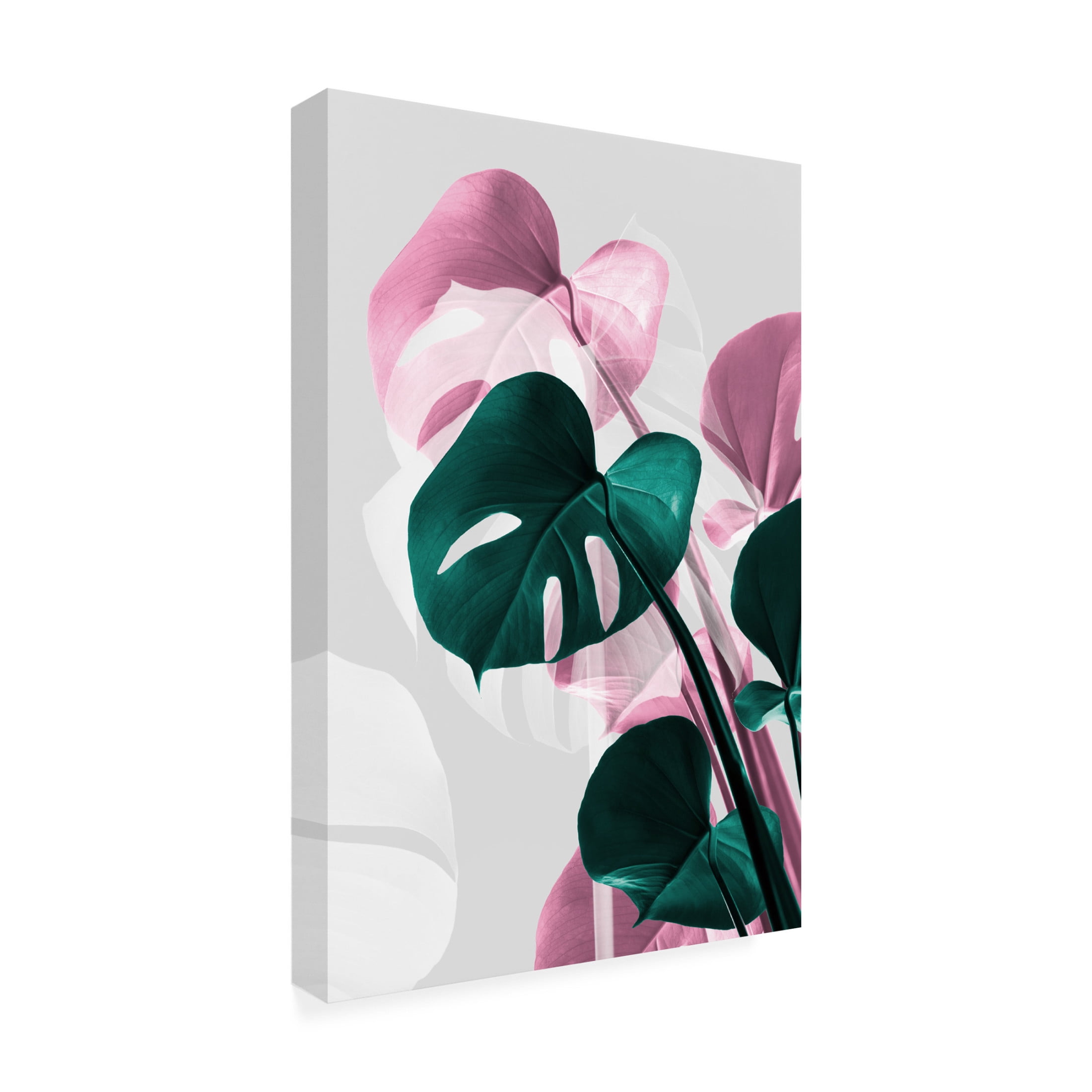 Trademark Fine Art Pictufy Studio Monstera Creative 12 Canvas Wall Art