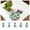 Green, variant on Bird Diaper Harness Floral Print Bird Flight Suit with Bow Tie Adjustable Bird Training Flight Harness Vest Breathable Bird Flying Clothes for Parrots Parakeets Cockatiels Outdoor Travel
