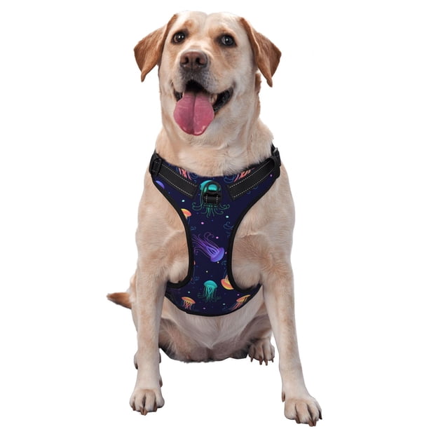 Fotbe Sea Jellyfish Arnés para Perro con Estampado –Chaleco Ajustable Acolchado con Asa de Control para Perros Grandes-Large