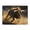1000 Pieces, variant on 500-Piece Wooden Jigsaw Puzzle for Adults - Bull Riding Rodeo Cowboy Arena , Fun & Relaxing Interlocking No-Dust Puzzle for Family, Home Decor & Holiday Gifts