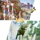 thumbnail image 4 of Rollo de banda reflectante para asustar pájaros que puede asustar palomas, águilas, pájaros carpinteros, gansos, accesorios para patio, jardín, porche, 4,8 cm x 100 m, 4 of 5