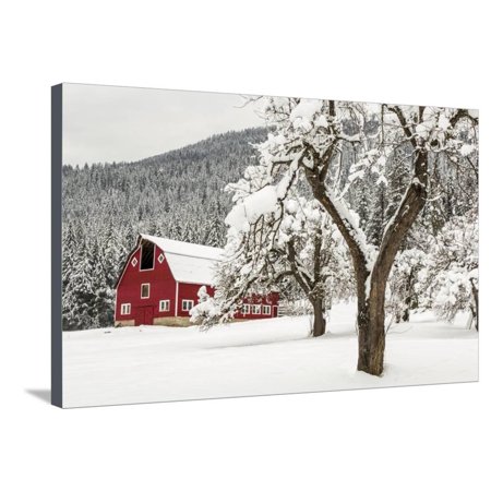 Fresh Snow on Red Barn Near Salmo, British Columbia, Canada Winter Scene Stretched Canvas Print Wall Art By Chuck