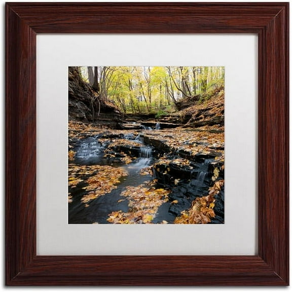 Trademark Fine Art "Lakeview Autumn Falls" Canvas Art by Kurt Shaffer White Matte, Wood Frame
