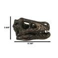 thumbnail image 2 of Faux Taxidermy Replica Velociraptor Dinosaur Head Fossil Small Skull Figurine, 2 of 11