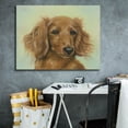 thumbnail image 5 of Epic Graffiti 'Sophie' by Janet Pidoux, Canvas Wall Art, 34"x26", 5 of 8