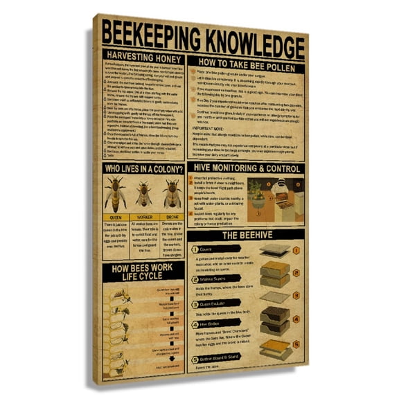 Beekeeping Knowledge Poster Educational Wall Art Infographic Poster Decorations Wall Artwork for Office Printing Pictures Painting for Bedroom Canvas Framed 16×24 in