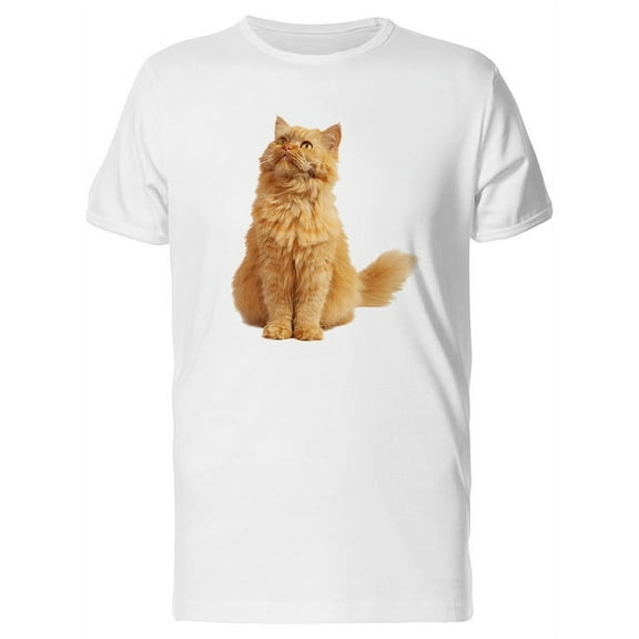 Cute Red Cat Looking Up T-Shirt Men -Image by Shutterstock, Male XX-Large