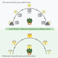 thumbnail image 4 of LED Grow Lights for Indoor Plants Smart USB Small Full Spectrum Plant Lights with Remote Height Adjustable Auto On/Off Timer Ideal for Home Decoration, 4 of 6