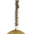 thumbnail image 2 of Saltoro Sherpi Holiday Theme Vintage Glass Ornament, Yellow, 2 of 5