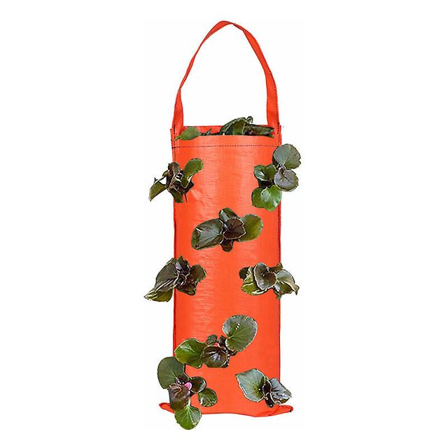 Bolsa para plantas de pared Bolsa para plantar colgante Bolsa para cultivo de plantas Jardinera de pared vertical Flor para interiores y exteriores para el hogar, la oficina y la jardinería doméstica