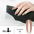 thumbnail image 1 of 16 Color 8ML Nail Polish Silver Mirror Effect Long Lasting  Nail Enamel, 1 of 9