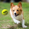 thumbnail image 2 of Fusil NerfDog avec balles de tennis 30cm, 2 of 7