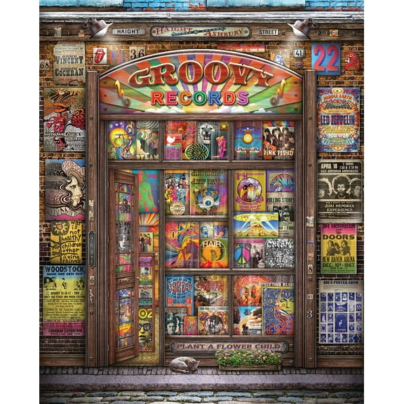 Springbok 1000 Piece Groovy Records Jigsaw Puzzle for Adults  - Made in USA