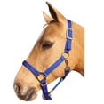 thumbnail image 2 of Intrepid International 1ZAS35RD Nylon Horse Halter, Yearling - Red, 2 of 7