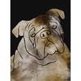 thumbnail image 2 of Prime, Marcus 19x24 Gold Ornate Wood Framed with Double Matting Museum Art Print Titled - Doggy Wonders 2, 2 of 4