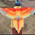 thumbnail image 3 of 1 Juego de disfraz de Cosplay para niños, capa de loro, disfraz de pájaro, disfraz de alas con conjunto de sombreros, 3 of 8