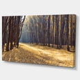 thumbnail image 2 of Chemin dans la Forêt d'Automne Panorama - Impression sur Toile, 2 of 3
