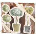 thumbnail image 2 of Set of 3 Wooden Topiary | Stand-alone Wooden Plant Shaped Decor, 2 of 4