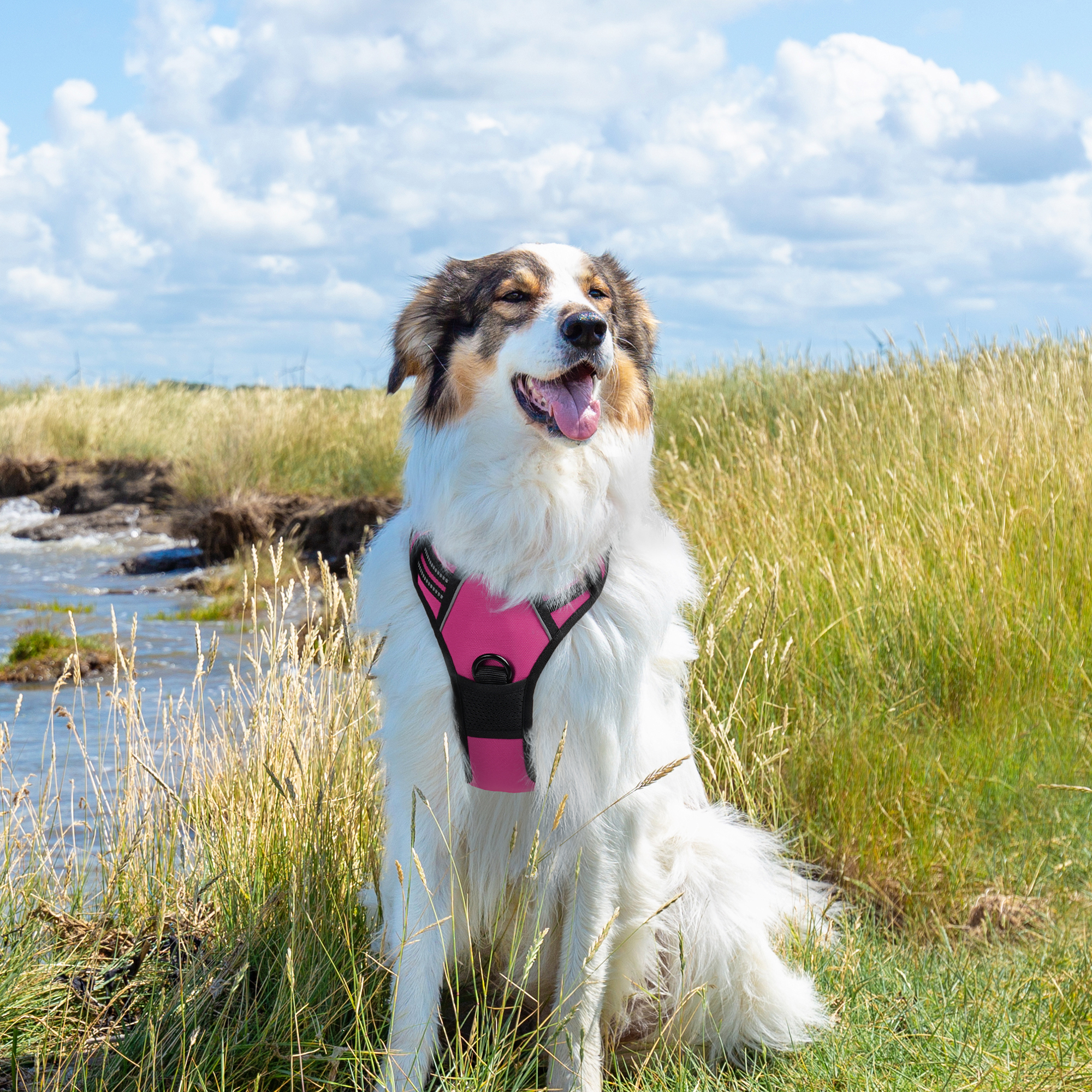 Pigo No Pull Dog Harness Large Hot Pink photo 6