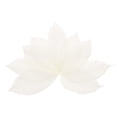 thumbnail image 1 of 100 Pcs Hojas Esqueléticas Blancas, 2"- 3" Hojas Prensadas de Árbol de Caucho para Álbumes de Fotos y Manualidades, 1 of 7