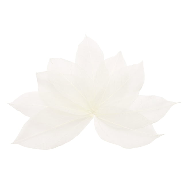 100 Pcs Hojas Esqueléticas Blancas, 2"- 3" Hojas Prensadas de Árbol de Caucho para Álbumes de Fotos y Manualidades