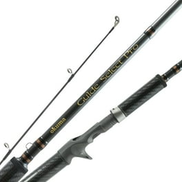 fenwick　FC64 World Class® Inshore Casting Rod